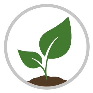 task 7 icon