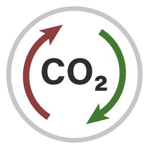 task 8 icon