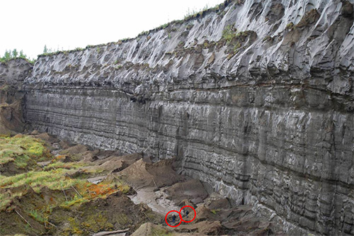 permafrost